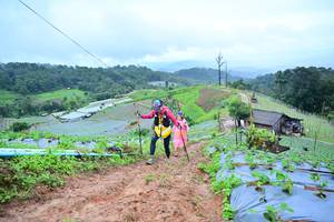 BIB: 1310
                            <button type="button" onclick="openModal(13378494)" class="btn btn-primary btn-sm float-right btn-popup" data-toggle="modal" data-target=".modal-high-quality">
                        <i class="fas fa-shopping-cart"></i> Add to Cart
                    </button>
                                            <button type="button" onclick="isThisMe(13378494, true)" class="btn btn-success btn-sm float-right btn-popup btn-isme hidden" data-toggle="tooltip" data-placement="bottom" title="นี่คือรูปของคุณใช่ไหม คลิกที่นี่เพื่อเอาเข้าอัลบั้ม">
                        <i class="fas fa-plus"></i> Add to album
                    </button>
                    <button type="button" onclick="isThisMe(13378494, false)" class="btn btn-warning btn-sm float-right btn-popup btn-isnotme hidden">
                        <i class="fas fa-ban"></i> Remove from album
                    </button>